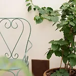 Casa Mollrose *