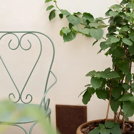 Casa Mollrose *